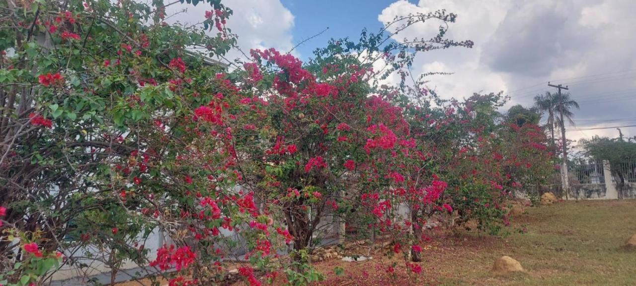 Villa De Assis Suites Alto Paraíso de Goiás Exteriör bild